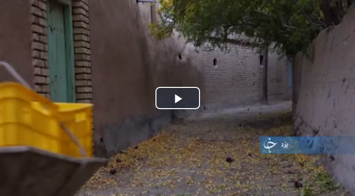 اختراع و تولید در پارک علم و فناوری تا برداشت انواع انار از تفت