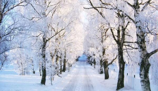 مجموعه عکس طبیعت زمستانی زیبا برای پروفایل 99