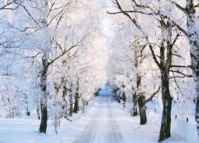مجموعه عکس طبیعت زمستانی زیبا برای پروفایل 99